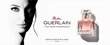 Komplekts Guerlain Mon Guerlain EDP 30 ml + 5 ml cena un informācija | Sieviešu smaržas | 220.lv