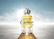 Cartier L'Envol De Cartier - EDT cena un informācija | Vīriešu smaržas | 220.lv