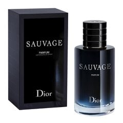 Parfimēts ūdens Christian Dior Sauvage EDP vīriešiem, 100ml цена и информация | Мужские духи | 220.lv