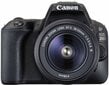 Canon EOS 200D + 18-55mm DC III Kit cena un informācija | Digitālās fotokameras | 220.lv