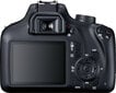 Canon EOS 4000D Body, melna цена и информация | Digitālās fotokameras | 220.lv