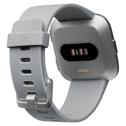 Fitbit Versa Grey/Silver цена и информация | Viedpulksteņi (smartwatch) | 220.lv