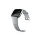 Fitbit Versa Grey/Silver цена и информация | Viedpulksteņi (smartwatch) | 220.lv