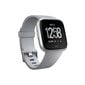 Fitbit Versa Grey/Silver cena un informācija | Viedpulksteņi (smartwatch) | 220.lv