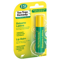 Lūpa balzams ESI Tea Tree Remedy ar tējas koku 5,7 g cena un informācija | Lūpu krāsas, balzāmi, spīdumi, vazelīns | 220.lv