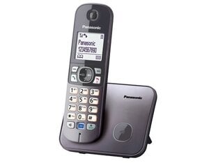 Panasonic KX-TG6811FXM, pelēks цена и информация | Стационарные телефоны | 220.lv