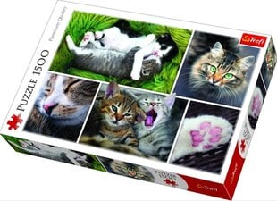 Пазл Trefl «Котята», 1500 д. цена и информация | Пазлы | 220.lv
