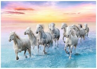 Puzle Baltie zirgi, 500 gab., TREFL cena un informācija | Puzles, 3D puzles | 220.lv