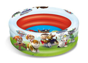 Baseins Mondo Paw Patrol (100 cm) cena un informācija | Baseini | 220.lv