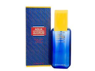 Antonio Puig Aqua Quorum EDT 100ml cena un informācija | Vīriešu smaržas | 220.lv