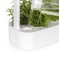 Click & Grow Smart Garden 9 цена и информация | Diedzēšanas trauki, augu lampas | 220.lv