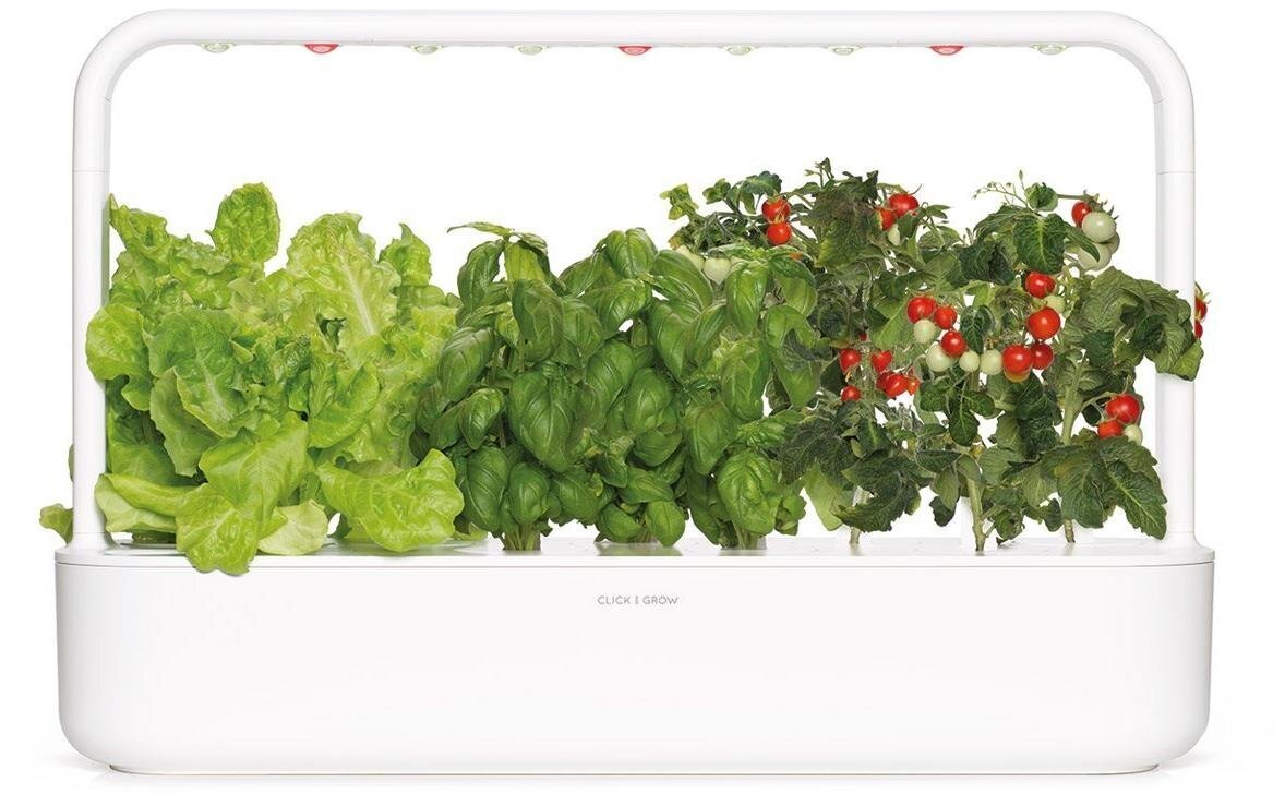 Click & Grow Smart Garden 9 cena un informācija | Diedzēšanas trauki, augu lampas | 220.lv