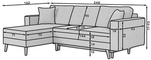 Universāls stūra dīvāns Asgard, rozā цена и информация | Угловые диваны | 220.lv