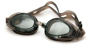 Peldēšanas brilles Intex Water Sport cena un informācija | Peldēšanas brilles | 220.lv