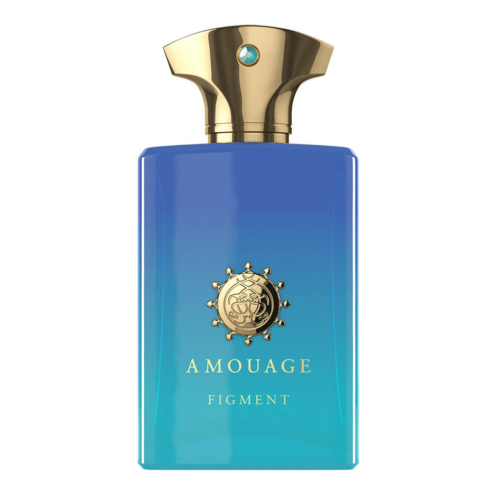 Vīriešu smaržas Amouage Figment Man - EDP 100 ml цена и информация | Vīriešu smaržas | 220.lv