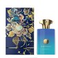 Vīriešu smaržas Amouage Figment Man - EDP 100 ml цена и информация | Vīriešu smaržas | 220.lv