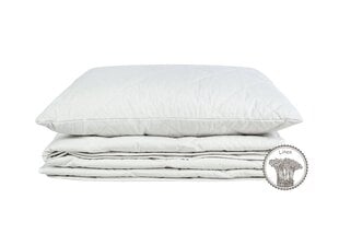 Comco одеяло  с льняным волокном, 200x220см цена и информация | Одеяла | 220.lv