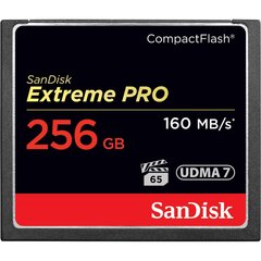 Atmiņas karte SanDisk SDCFXPS-256G-X46 цена и информация | Карты памяти для фотоаппаратов | 220.lv