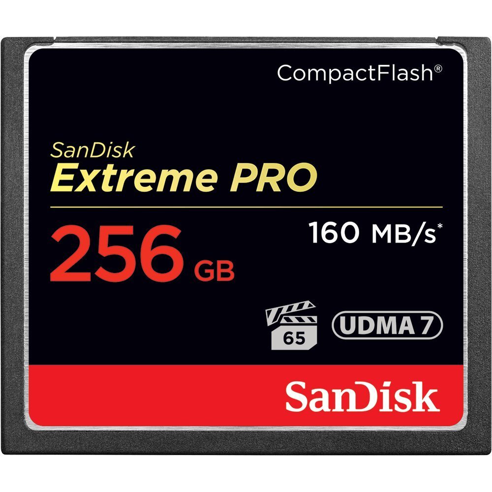 Atmiņas karte SanDisk SDCFXPS-256G-X46 cena un informācija | Atmiņas kartes fotokamerām | 220.lv