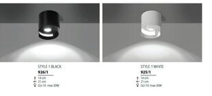 Emibig светильник Style 1 цена и информация | Потолочные светильники | 220.lv