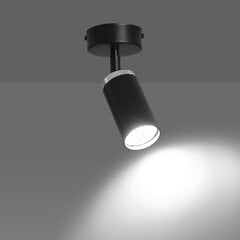 Emibig lampa Hera 1 цена и информация | Потолочные светильники | 220.lv