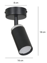 Emibig lampa Hera 1 цена и информация | Потолочные светильники | 220.lv
