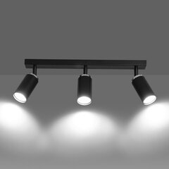 Emibig светильник Hera 3 цена и информация | Потолочные светильники | 220.lv