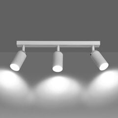 Emibig светильник Hera 3 цена и информация | Потолочные светильники | 220.lv