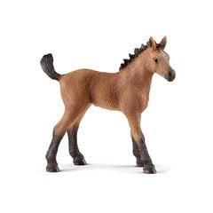 Фигурка Жеребенок породы кватерхорс, Schleich цена и информация | Игрушки для мальчиков | 220.lv