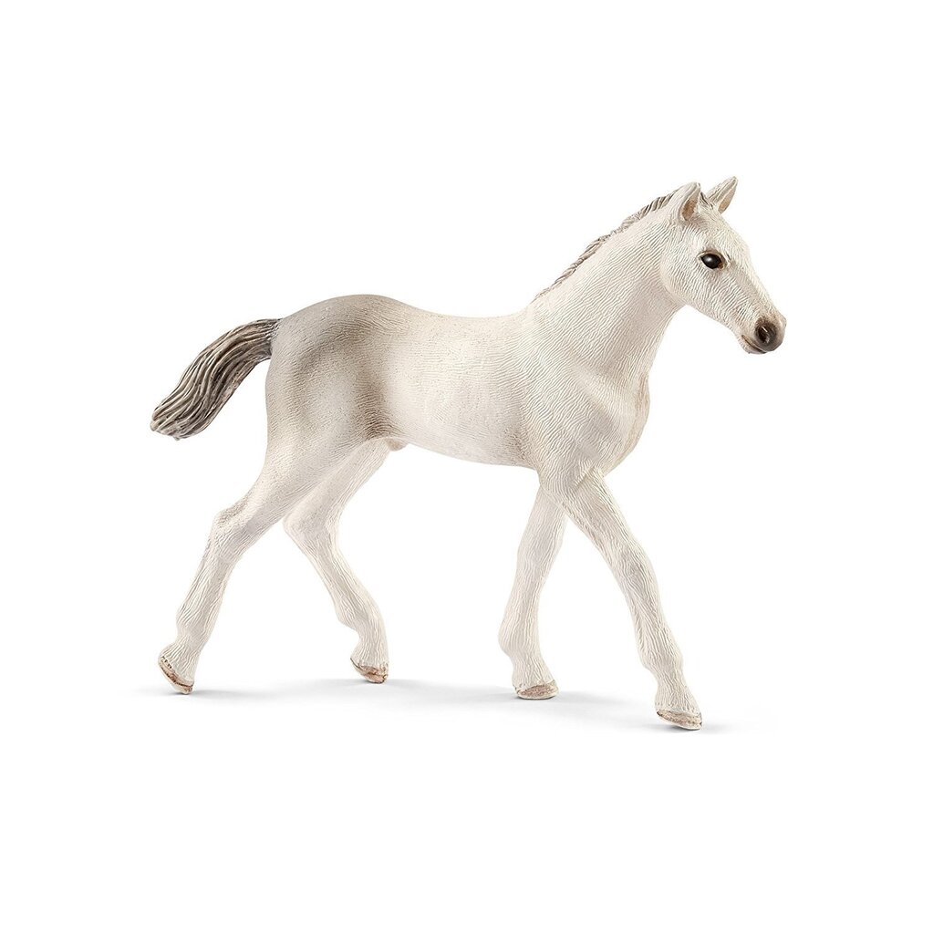 Holšteinas kumeļš, Schleich Horse Club цена и информация | Rotaļlietas zēniem | 220.lv