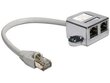 Delock adapteris Rozdzielacz LAN 1xRJ45/2xRJ45 Ethernet cena un informācija | Adapteri un USB centrmezgli | 220.lv
