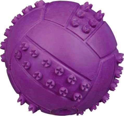 Trixie guminis kamuoliukas, 9.5 cm cena un informācija | Suņu rotaļlietas | 220.lv