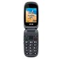 SPC Harmony 2304N Black цена и информация | Mobilie telefoni | 220.lv