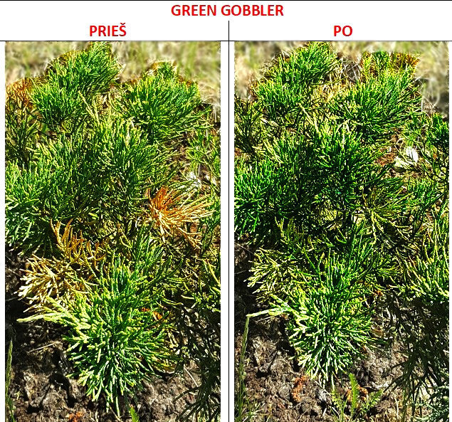 Green Gobbler vejoms nuo augintinių šlapimo, 500 ml cena un informācija | Mikroorganismi, baktērijas | 220.lv