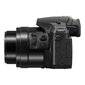 Panasonic DMC-FZ300, Juoda cena un informācija | Digitālās fotokameras | 220.lv