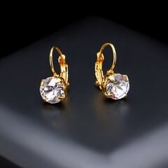 Auskari "Krāšņums" ar Swarovski™ kristāliem цена и информация | Серьги | 220.lv