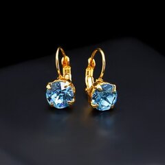 Auskari "Krāšņums (Aquamarine Blue)" ar Swarovski™ kristāliem цена и информация | Серьги | 220.lv