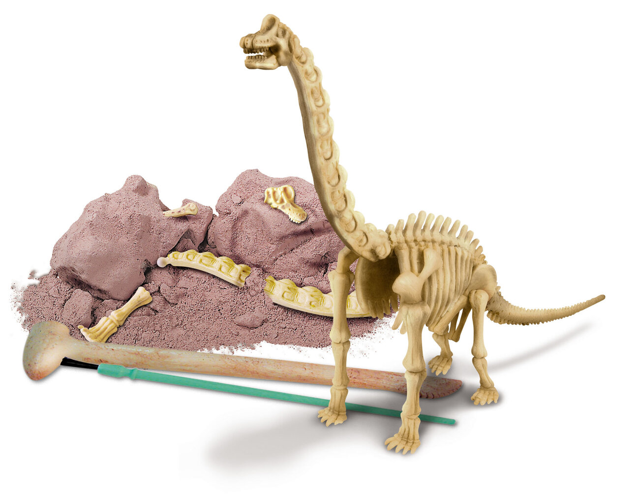 Arheologa komplekts "Izrok Brachosaurus dinozaurs" 4M cena un informācija | Attīstošās rotaļlietas | 220.lv