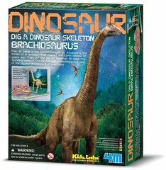 Arheologa komplekts "Izrok Brachosaurus dinozaurs" 4M цена и информация | Развивающие игрушки | 220.lv