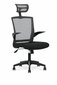 Biroja krēsls Valor, melnā/pelēkā krāsā cena un informācija | Biroja krēsli | 220.lv