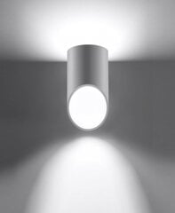 Sollux sienas lampa Penne 20 цена и информация | Настенные светильники | 220.lv