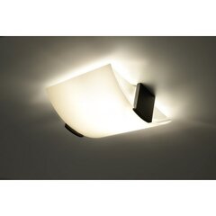 Sollux lampa Emilio цена и информация | Потолочные светильники | 220.lv
