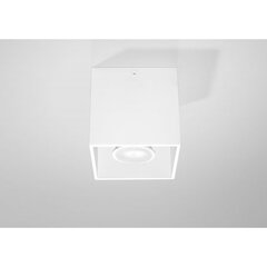 Sollux griestu lampa Quad цена и информация | Потолочные светильники | 220.lv