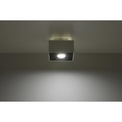 SOLLUX потолочный светильник Mono 1 White цена и информация | Потолочные светильники | 220.lv