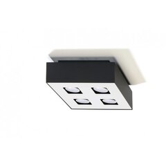 SOLLUX потолочный светильник Mono 4 White цена и информация | Потолочные светильники | 220.lv