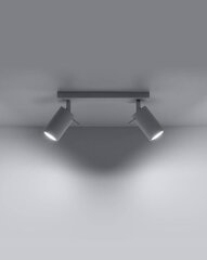 SOLLUX потолочный светильник Ring 2 White цена и информация | Потолочный светильник | 220.lv