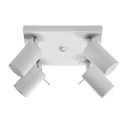 SOLLUX потолочный светильник Ring 4 White цена и информация | Потолочные светильники | 220.lv