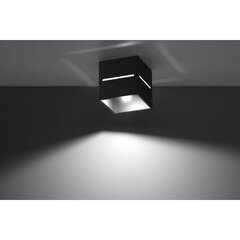 Sollux lampa Lobo цена и информация | Потолочный светильник | 220.lv