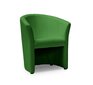 Krēsls Tm-1, zaļš цена и информация | Atpūtas krēsli | 220.lv