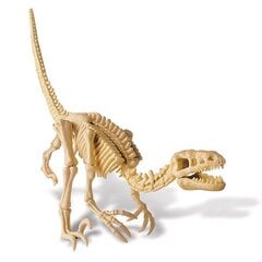 Arheologa komplekts "Izrakt dinozauru Velociraptor" 4M цена и информация | Развивающие игрушки | 220.lv